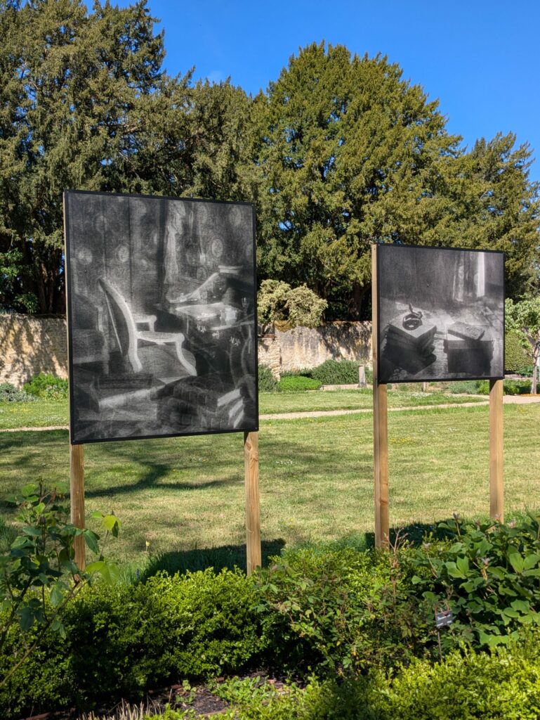 Flore à Nohant dans la parc