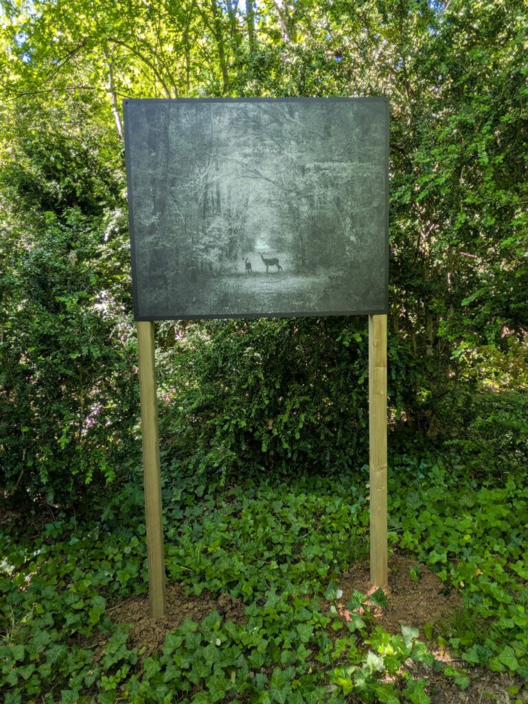 Dans le parc de Nohant exposition Flore